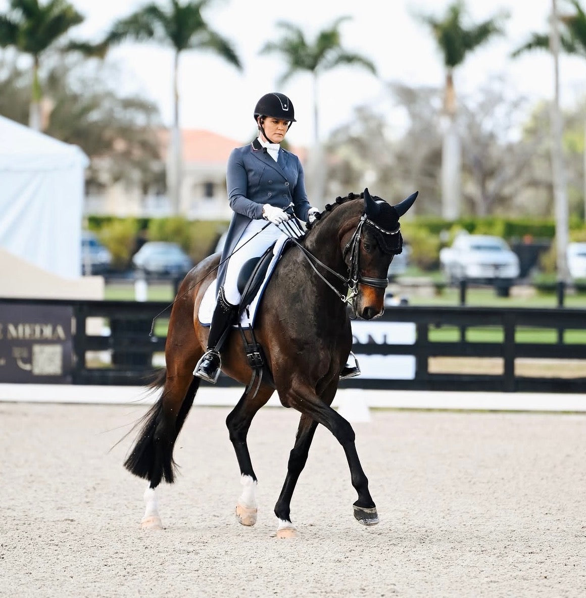 Dressage Saddles
